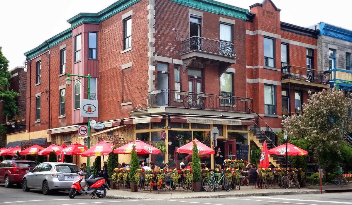 Sunflower Harvest Season Begins in Lower Shabelle